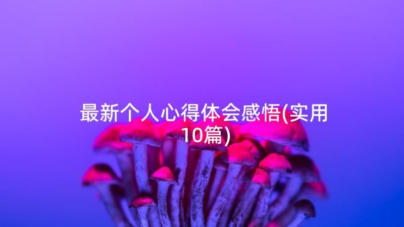 最新个人心得体会感悟(实用10篇)