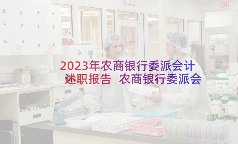 2023年农商银行委派会计述职报告 农商银行委派会计的述职报告(通用5篇)