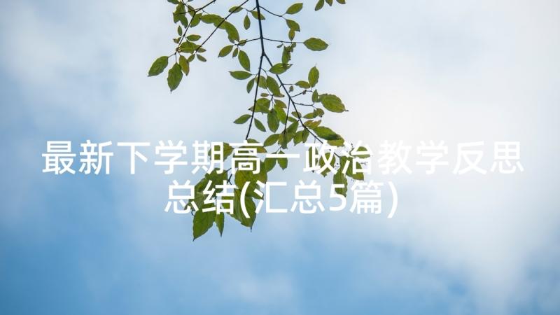 最新下学期高一政治教学反思总结(汇总5篇)