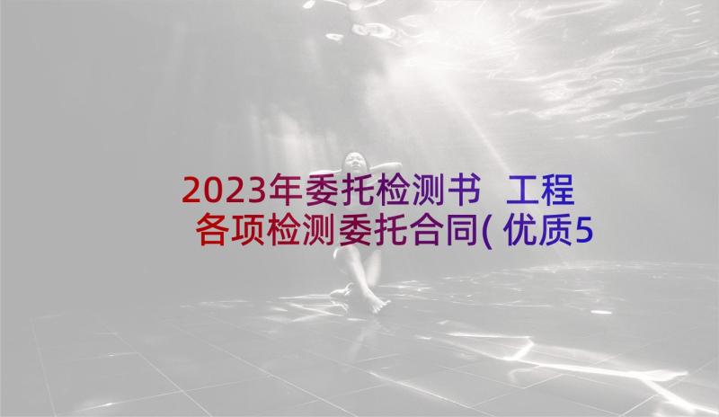 2023年委托检测书 工程各项检测委托合同(优质5篇)