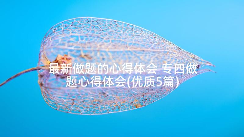 最新做题的心得体会 专四做题心得体会(优质5篇)