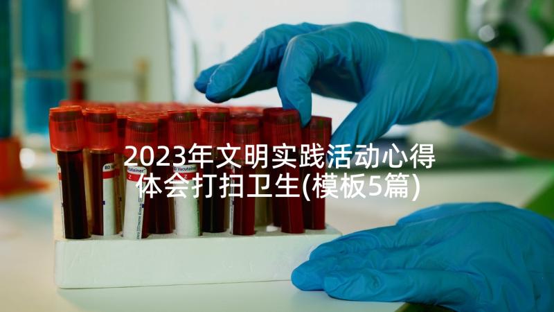 2023年文明实践活动心得体会打扫卫生(模板5篇)