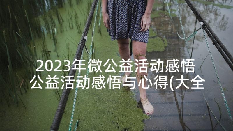 2023年微公益活动感悟 公益活动感悟与心得(大全5篇)