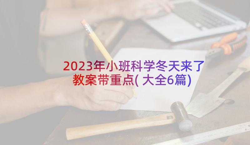 2023年小班科学冬天来了教案带重点(大全6篇)