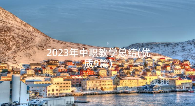 2023年中职教学总结(优质9篇)