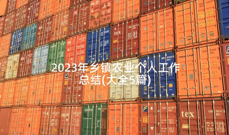 2023年乡镇农业个人工作总结(大全5篇)