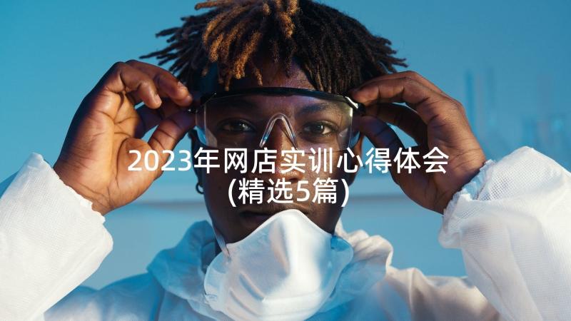 2023年网店实训心得体会(精选5篇)