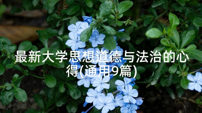 最新大学思想道德与法治的心得(通用9篇)