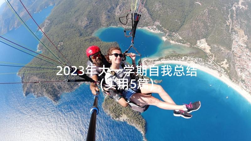 2023年大一学期自我总结(实用5篇)