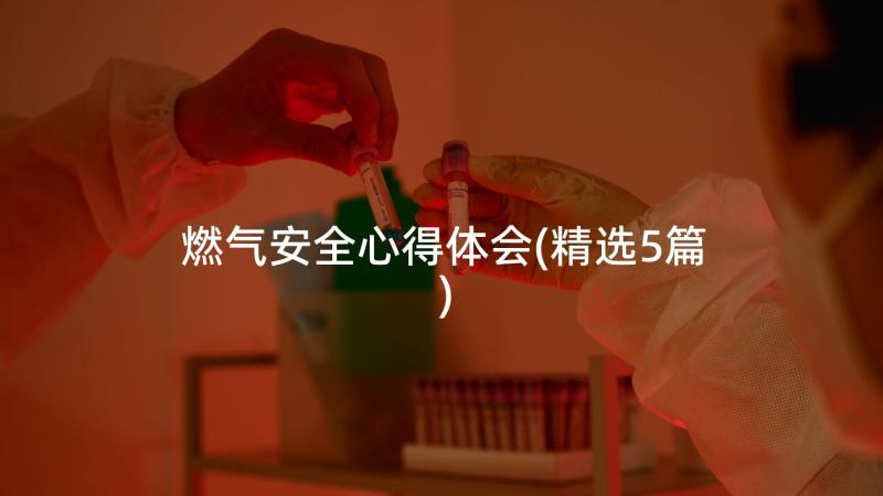 燃气安全心得体会(精选5篇)