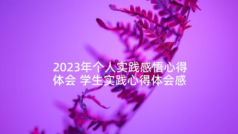 2023年个人实践感悟心得体会 学生实践心得体会感悟(实用5篇)