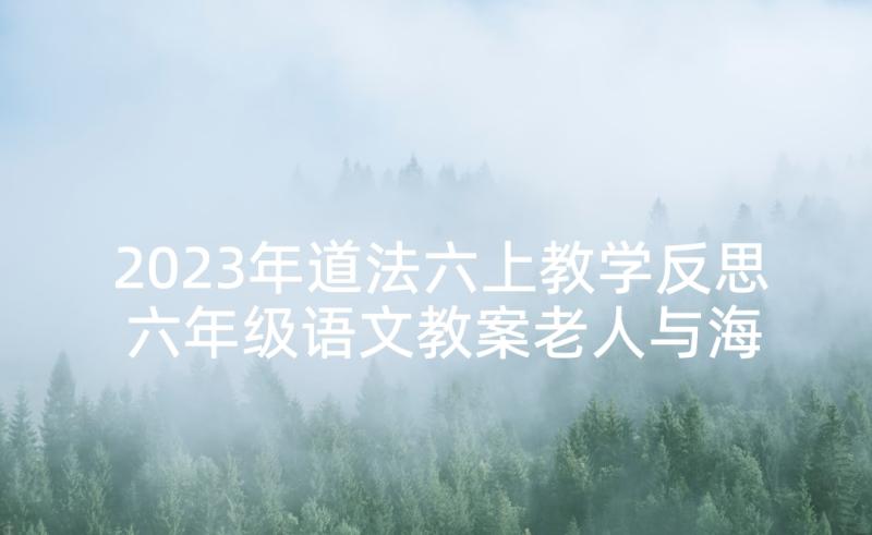 2023年道法六上教学反思 六年级语文教案老人与海鸥教学反思(优秀5篇)