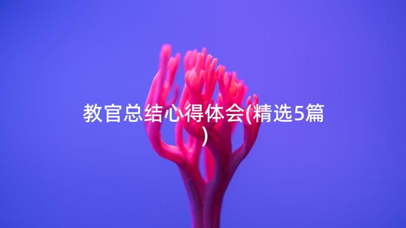 教官总结心得体会(精选5篇)