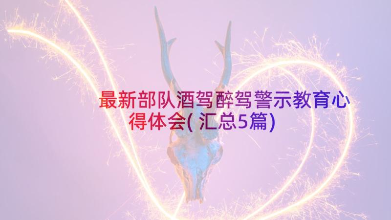 最新部队酒驾醉驾警示教育心得体会(汇总5篇)