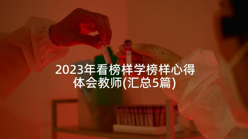 2023年看榜样学榜样心得体会教师(汇总5篇)