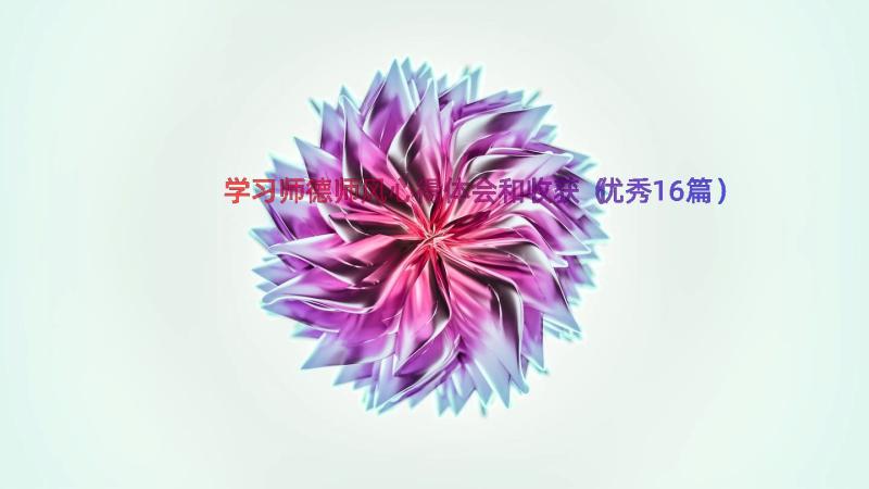 学习师德师风心得体会和收获（优秀16篇）