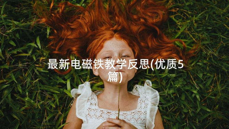 最新电磁铁教学反思(优质5篇)