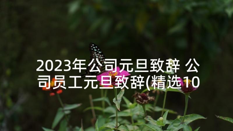 2023年公司元旦致辞 公司员工元旦致辞(精选10篇)