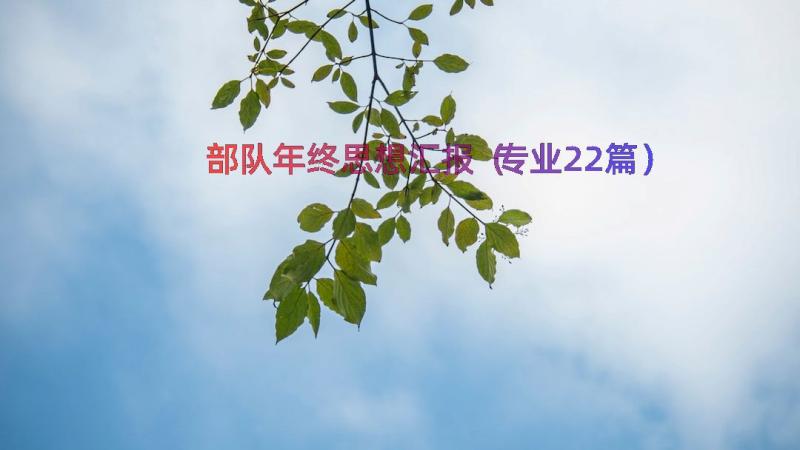 部队年终思想汇报（专业22篇）