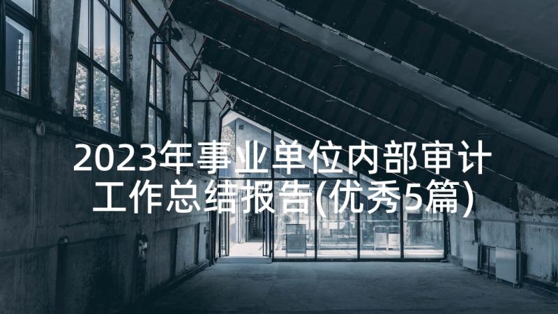 2023年事业单位内部审计工作总结报告(优秀5篇)