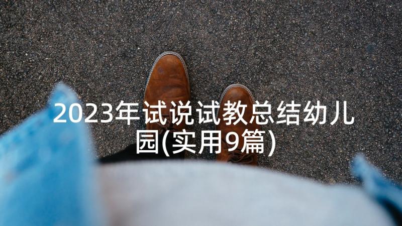 2023年试说试教总结幼儿园(实用9篇)