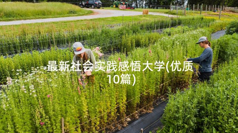 最新社会实践感悟大学(优质10篇)