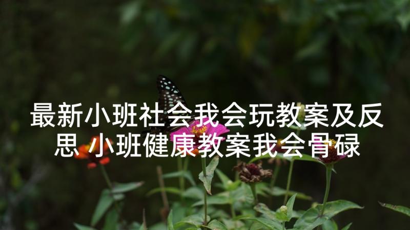 最新小班社会我会玩教案及反思 小班健康教案我会骨碌碌(精选5篇)