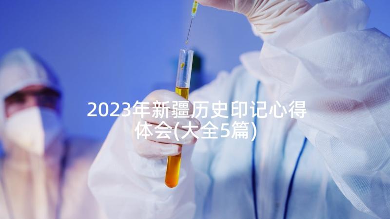 2023年新疆历史印记心得体会(大全5篇)