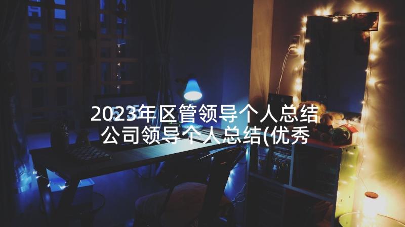 2023年区管领导个人总结 公司领导个人总结(优秀9篇)