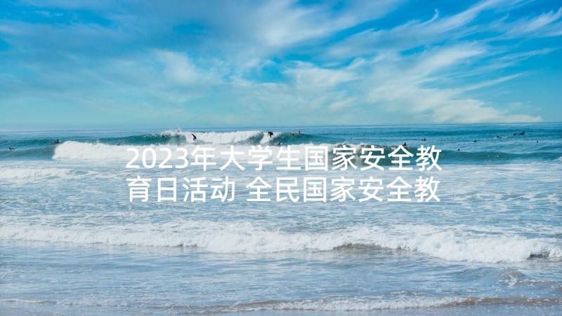 2023年大学生国家安全教育日活动 全民国家安全教育日的活动总结(优秀5篇)