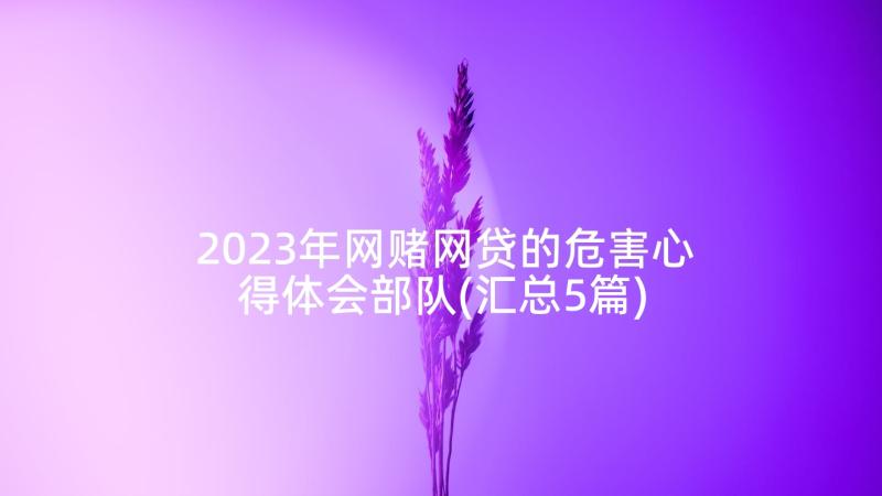 2023年网赌网贷的危害心得体会部队(汇总5篇)