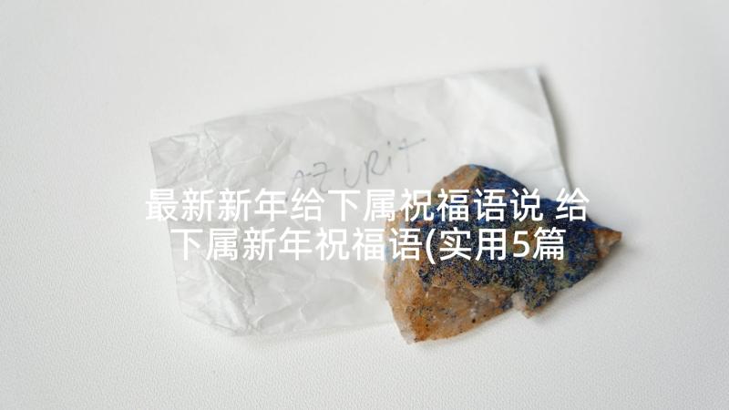 最新新年给下属祝福语说 给下属新年祝福语(实用5篇)