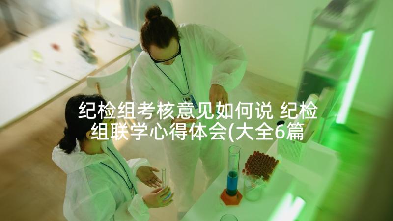 纪检组考核意见如何说 纪检组联学心得体会(大全6篇)