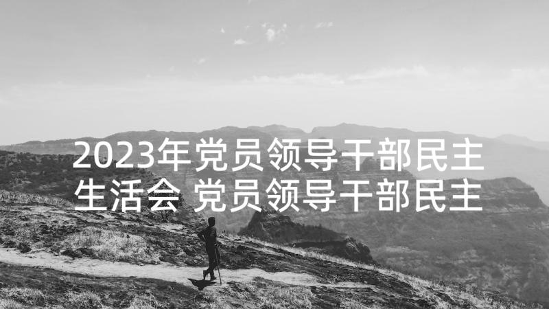 2023年党员领导干部民主生活会 党员领导干部民主生活会发言(实用9篇)