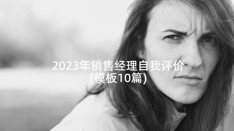 2023年销售经理自我评价(模板10篇)