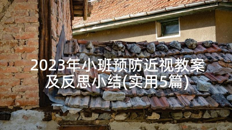 2023年小班预防近视教案及反思小结(实用5篇)