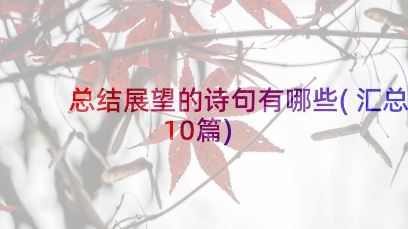 总结展望的诗句有哪些(汇总10篇)