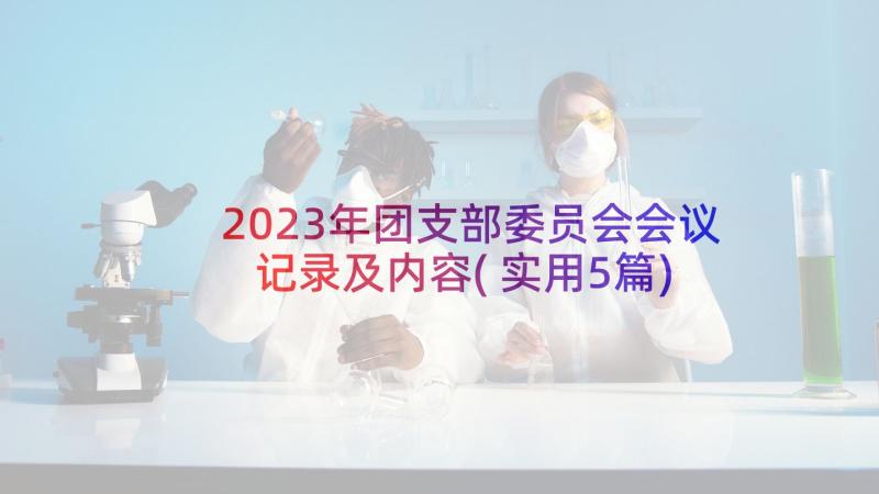 2023年团支部委员会会议记录及内容(实用5篇)