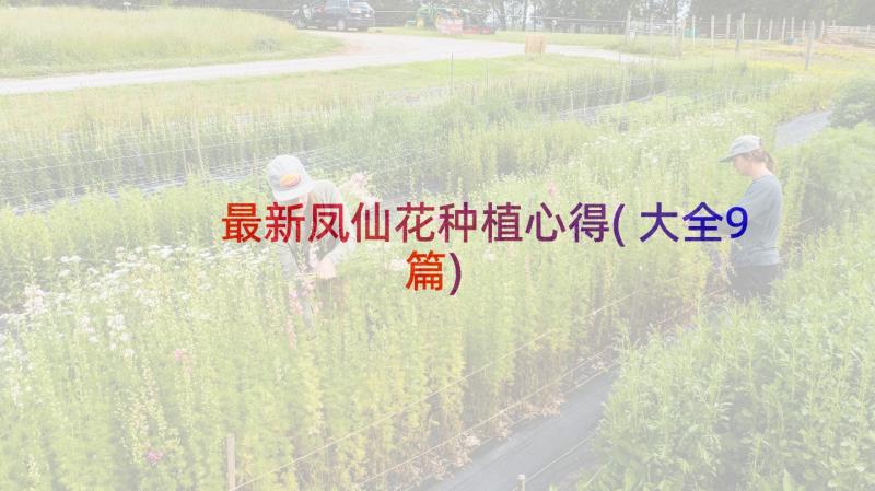 最新凤仙花种植心得(大全9篇)