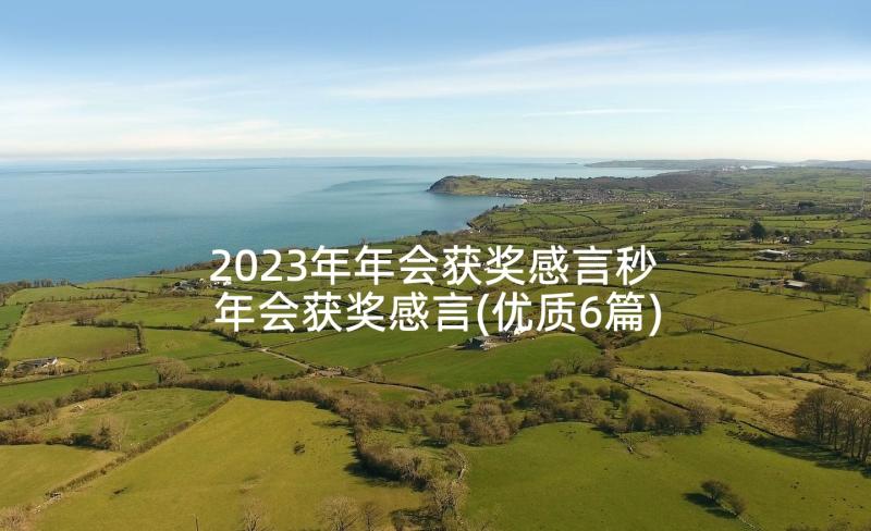 2023年年会获奖感言秒 年会获奖感言(优质6篇)