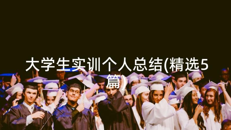 大学生实训个人总结(精选5篇)