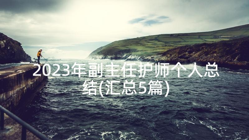 2023年副主任护师个人总结(汇总5篇)