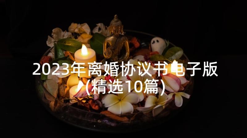 2023年离婚协议书电子版(精选10篇)