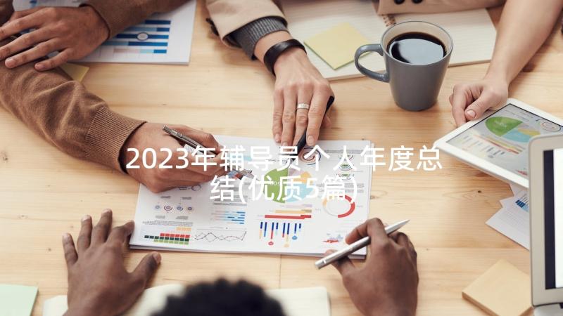 2023年辅导员个人年度总结(优质5篇)