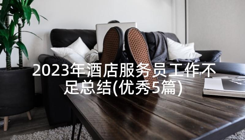 2023年酒店服务员工作不足总结(优秀5篇)