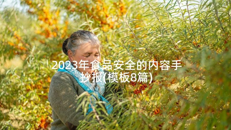 2023年食品安全的内容手抄报(模板8篇)