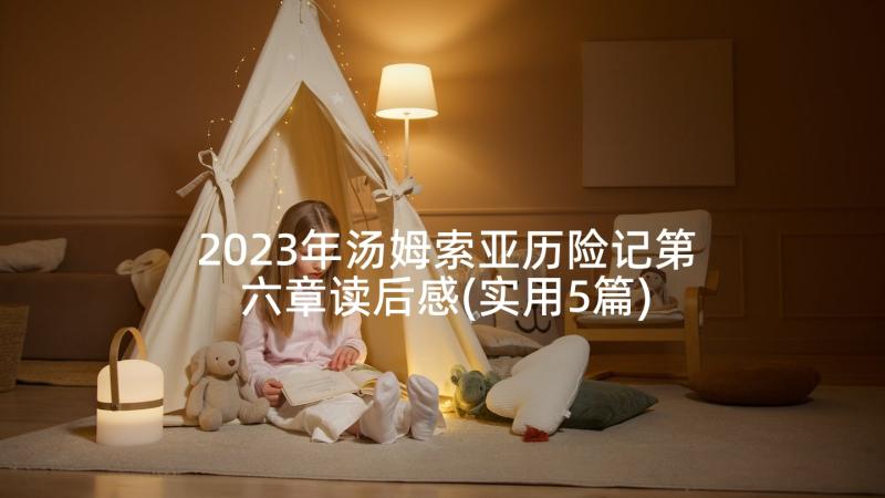 2023年汤姆索亚历险记第六章读后感(实用5篇)