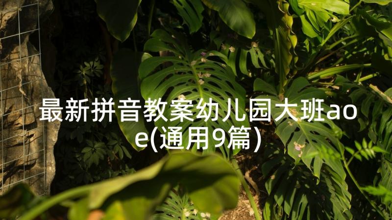 最新拼音教案幼儿园大班aoe(通用9篇)