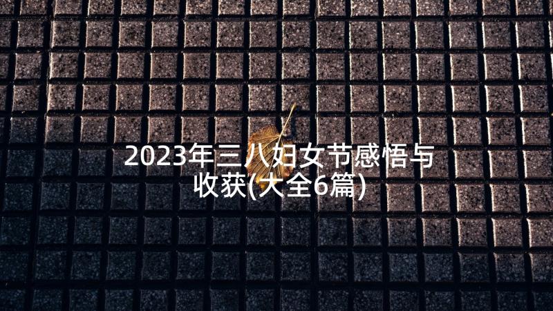 2023年三八妇女节感悟与收获(大全6篇)