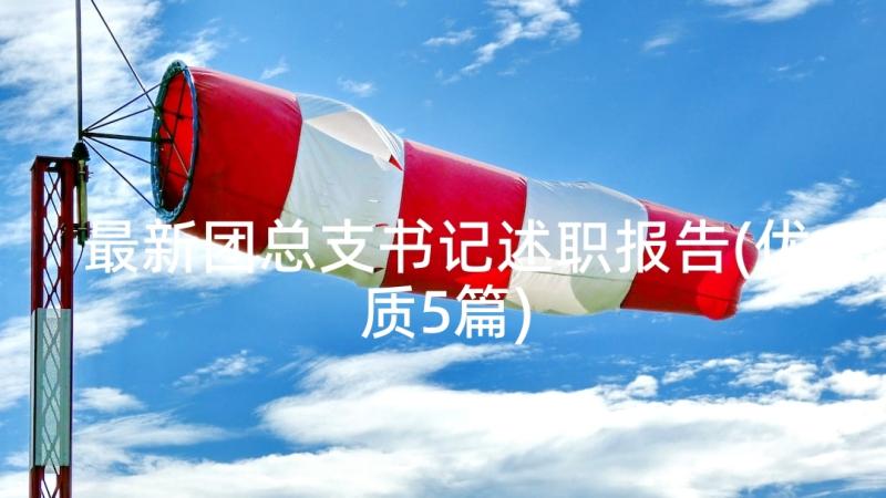 最新团总支书记述职报告(优质5篇)